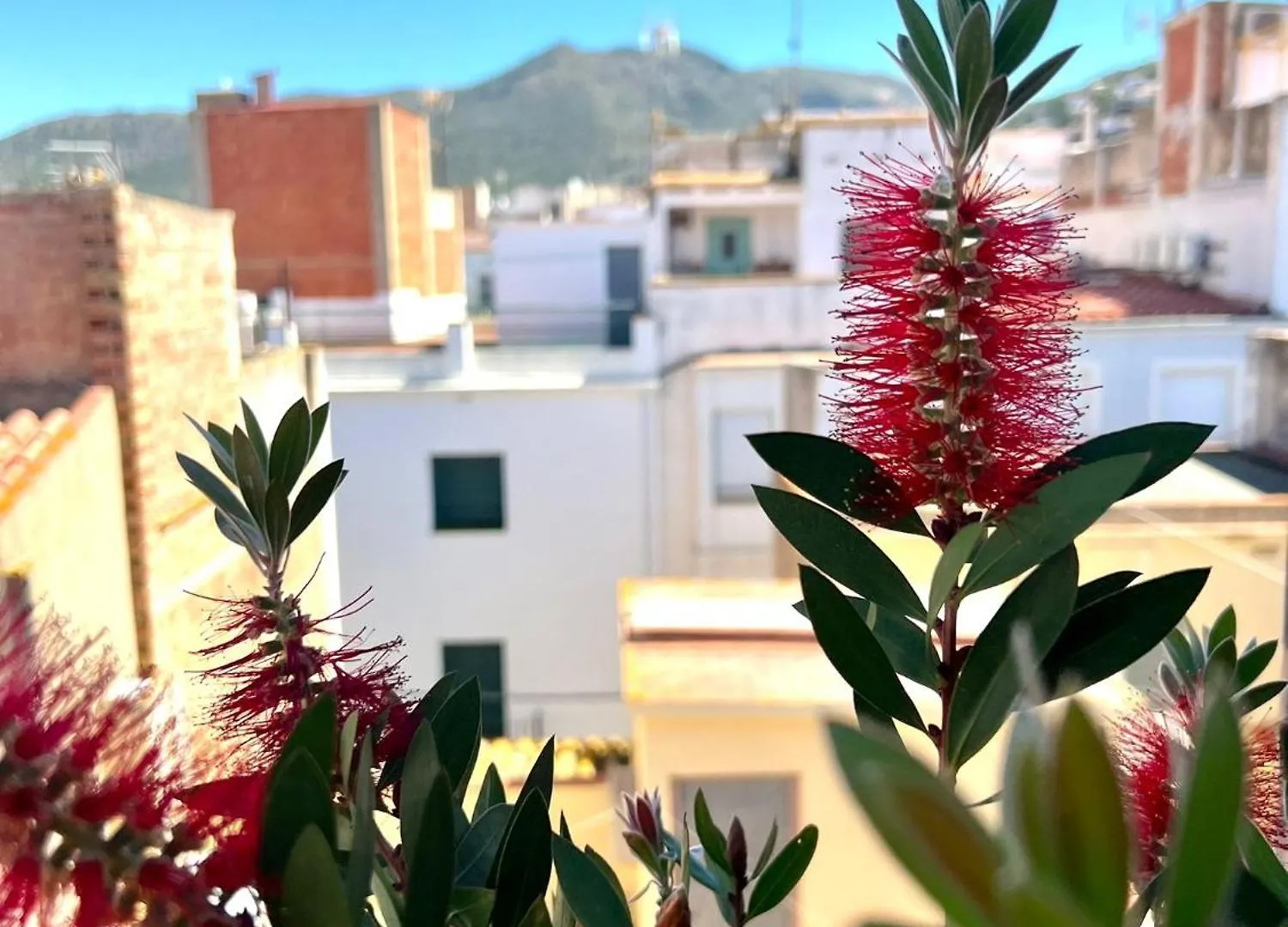 Maison d'hôtes Escondite Central Con Terraza Compartida En La Azotea Roses